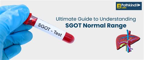 Ultimate Guide to Understanding SGOT Normal Range.